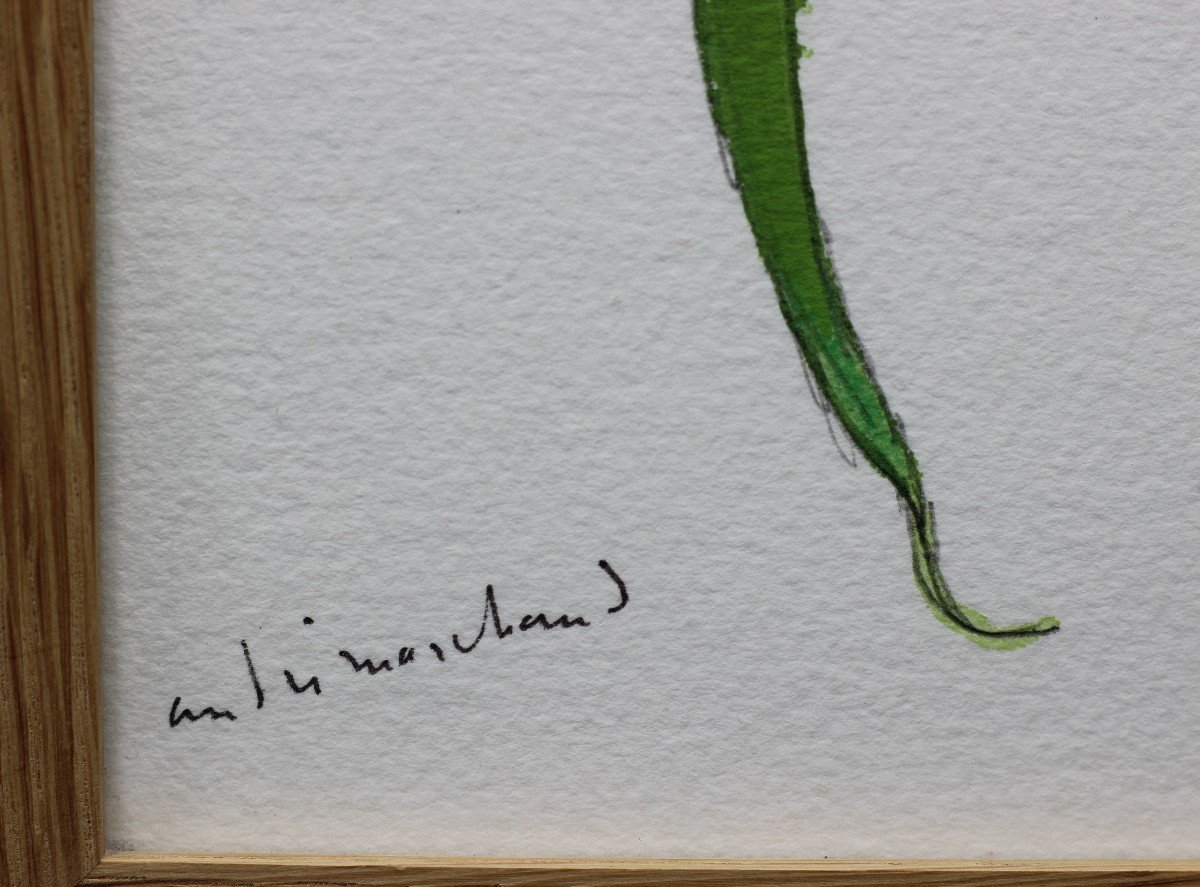 André MARCHAND (1907-1997) - Haricot vert en fleur -photo-2