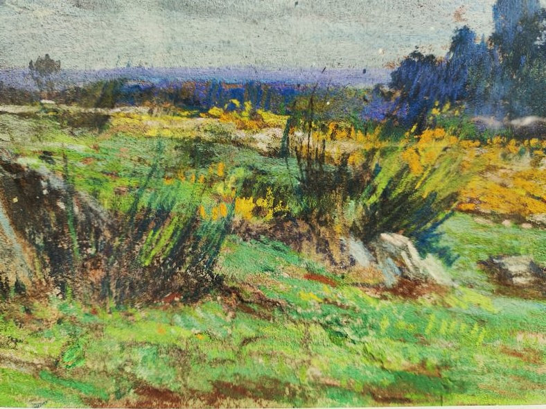 Charles Berjole (1884-1924) Lande aux ajoncs. Ecole de Crozant, Angers, Saumur, Creuse, Fauve-photo-2