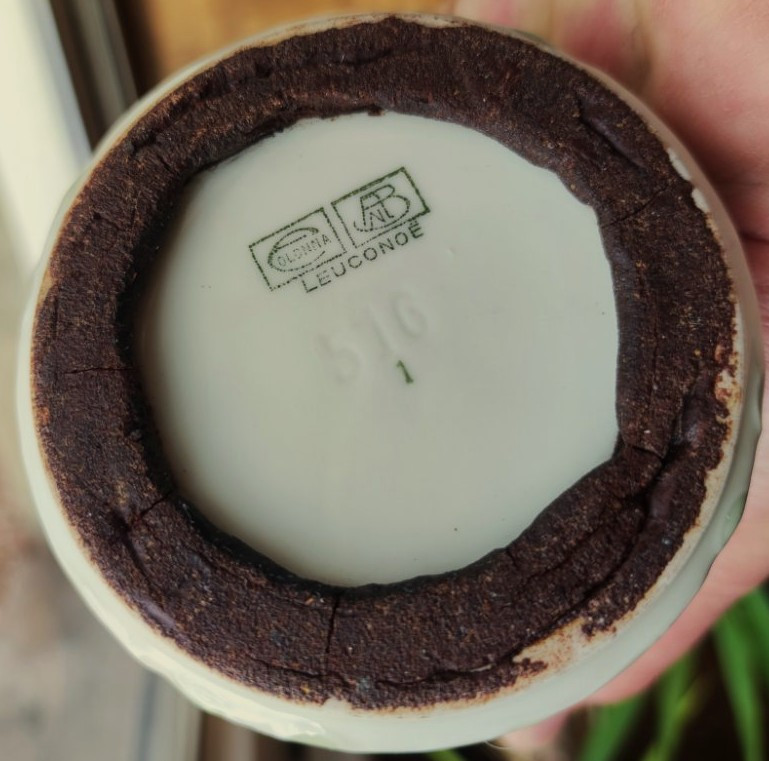 Art Nouveau Bing And Colonna Edward (1862-1948) Gda Limoges Vase Circa 1900. De Feure, Gallé Deck-photo-7