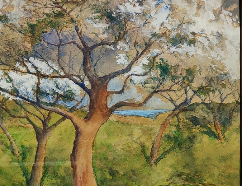 Allan Osterlind (1855-1938) Printemps sur la côte, Bretagne, Bréhat. Crozant, Suèdois, Maufra..-photo-3