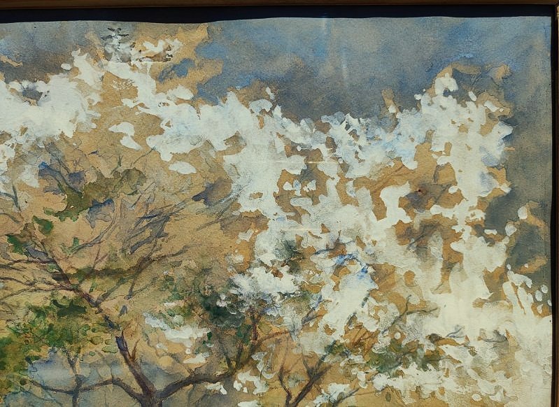 Allan Osterlind (1855-1938) Printemps sur la côte, Bretagne, Bréhat. Crozant, Suèdois, Maufra..-photo-5