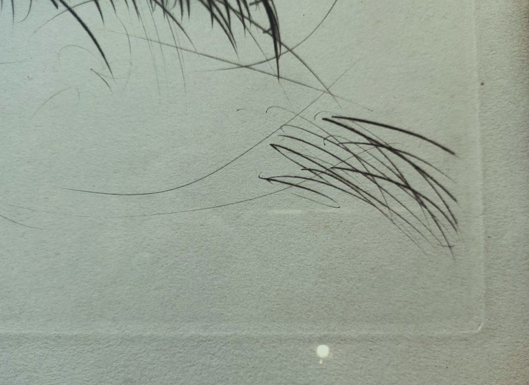 Paul César Helleu (1859-1927) Elégante au chapeau vers 1900. Art Nouveau, Icart, Proust, Monet-photo-5