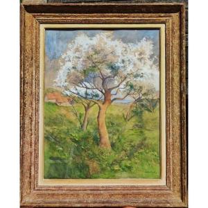 Allan Osterlind (1855–1938) Spring On The Coast, Brittany, Bréhat, Crozant, Suèdois, Maufra...