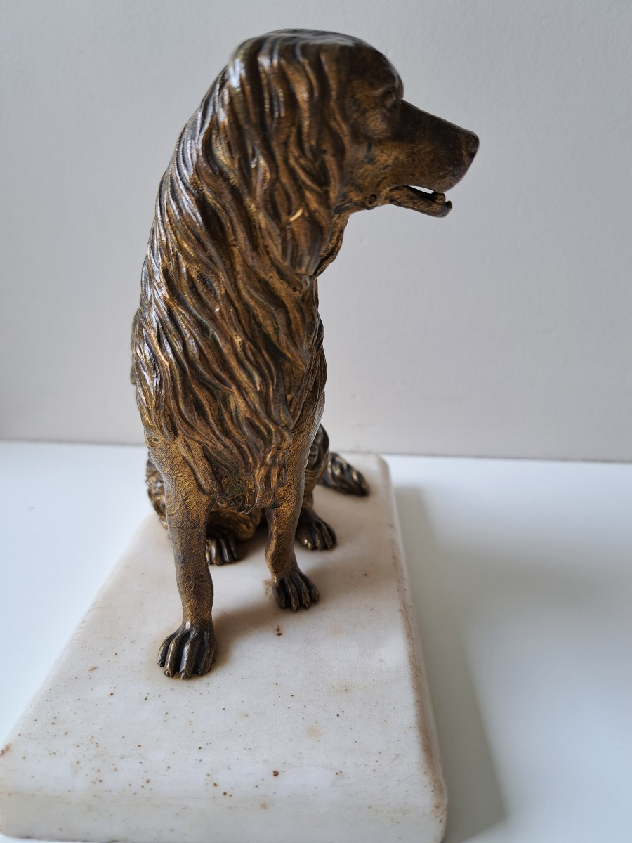 chien porte carte en bronze de Vienne -photo-1