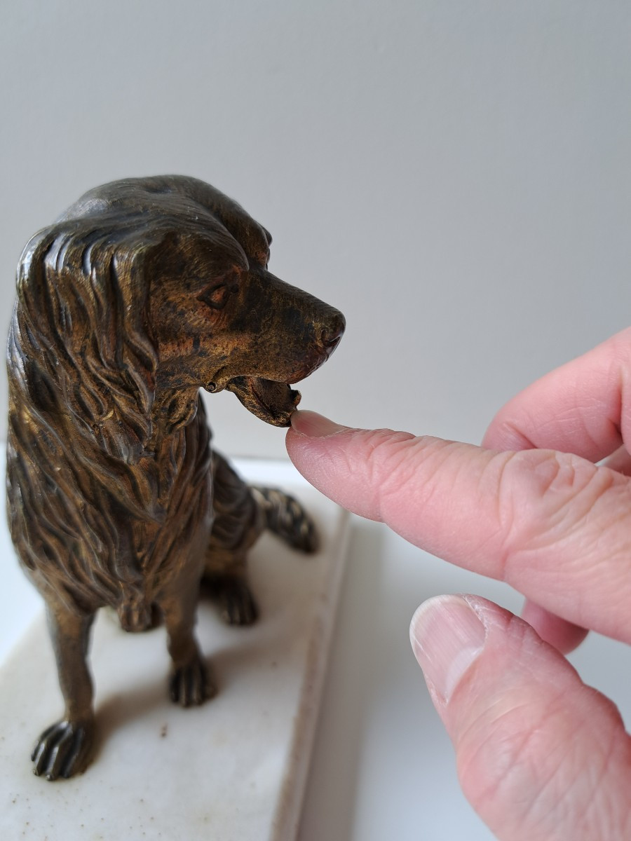 chien porte carte en bronze de Vienne 