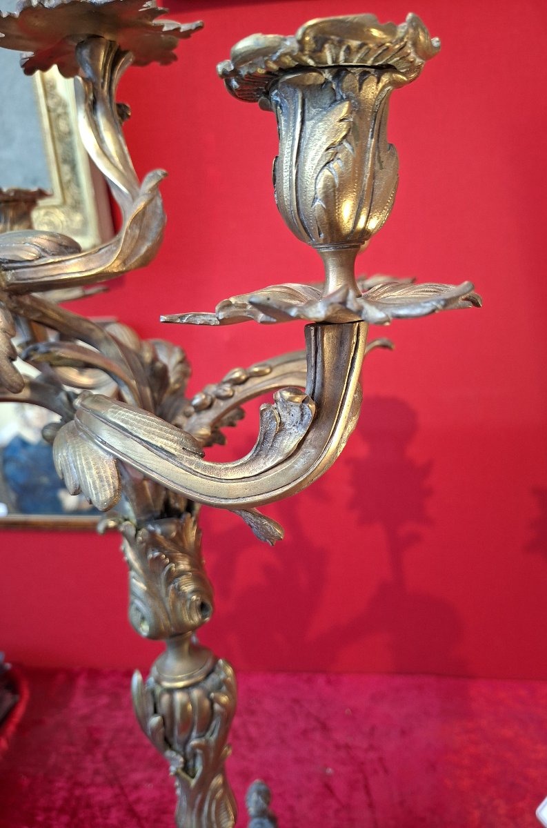 paire de flambeaux de style Rocaille 5 bras bronze et albâtre XIXeme siècle-photo-5