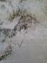 1800864-alb-6a68a418b0d6a.jpg