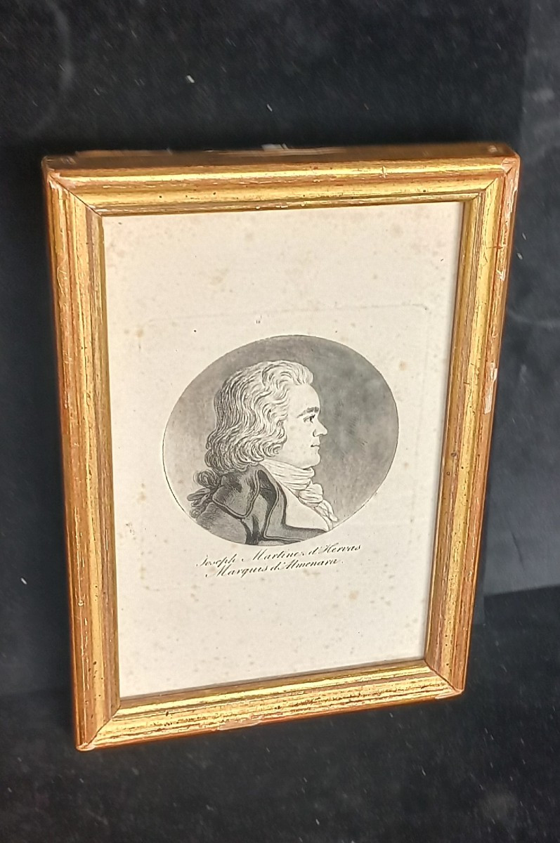 Physionothrace Portrait  Of Marquis d'Almerana 
