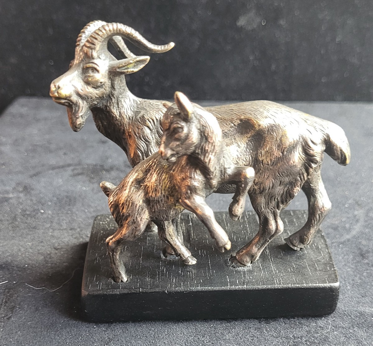 Chèvre suitée avec son chevreau en bronze argenté -photo-7