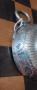 1437326-alb-67386da1db7fb.jpg