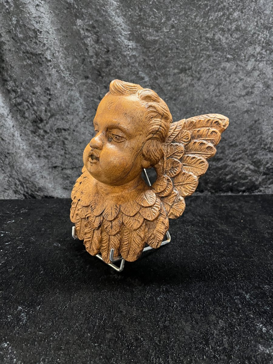 Ange ailé bois sculpté XIX°-photo-2