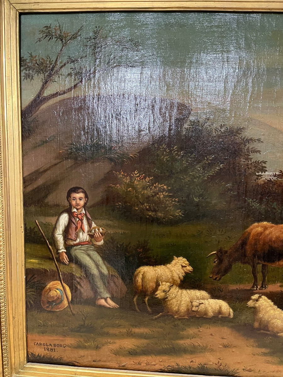 Hst: Carola Sorg 1891 - Alsace - Strasbourg-photo-1