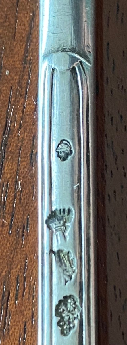 Marrow Spoon, Marrow Pull, Salt Shovel, Silver, 18th Century-photo-3