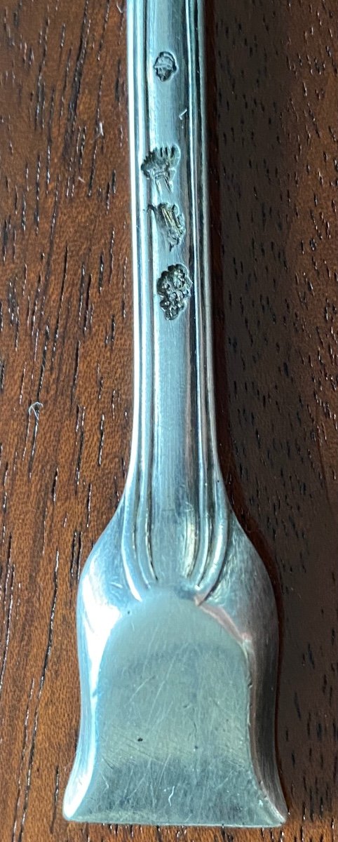 Marrow Spoon, Marrow Pull, Salt Shovel, Silver, 18th Century-photo-4