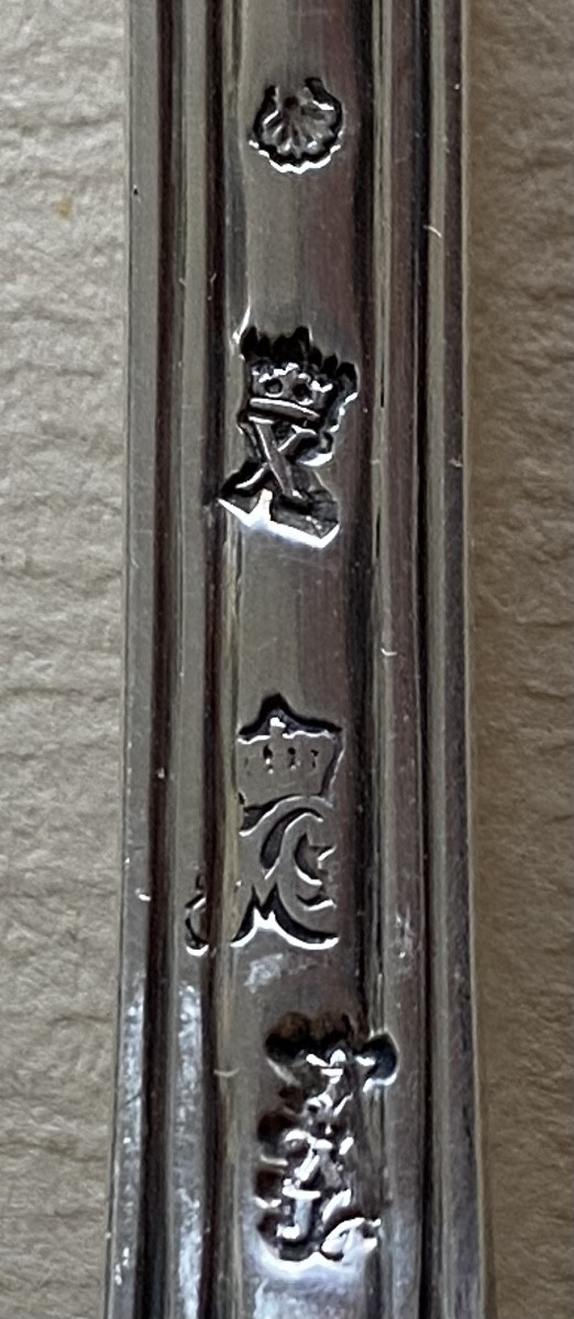 Sugar Spoon, Sugar Shaker, Silver, Rimmed, Paris 1761-photo-3