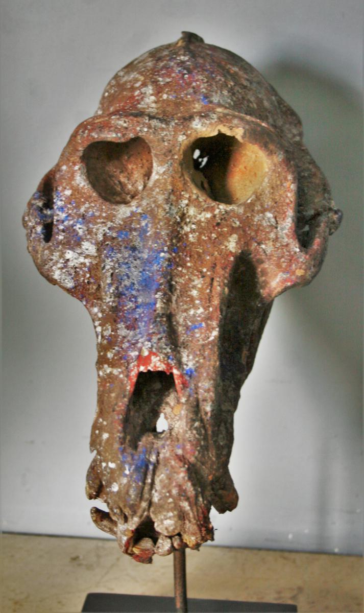 Fetish Skull Fon Benin-photo-2