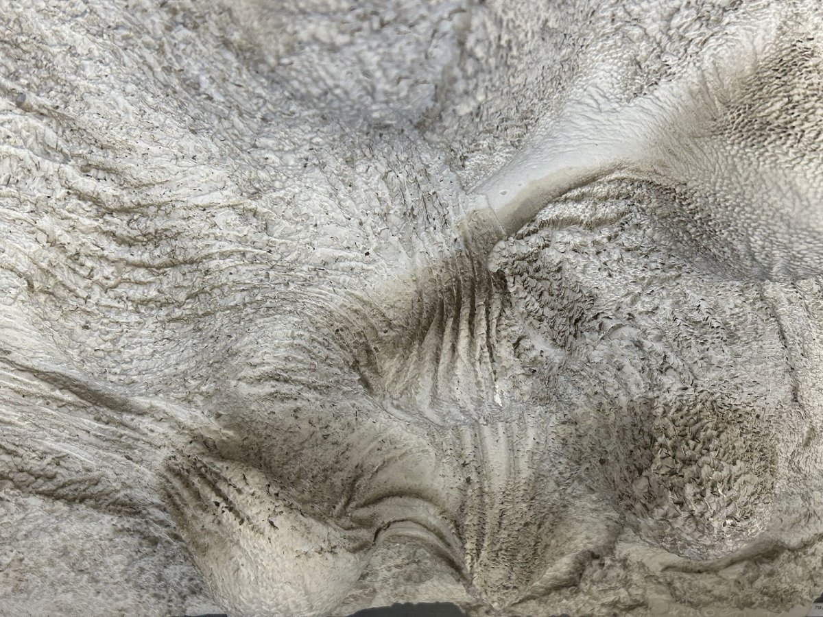 Gérard Simoen (born 1949) – *éclatement Blanc* – Plaster Painting-sculpture – 1972-photo-4