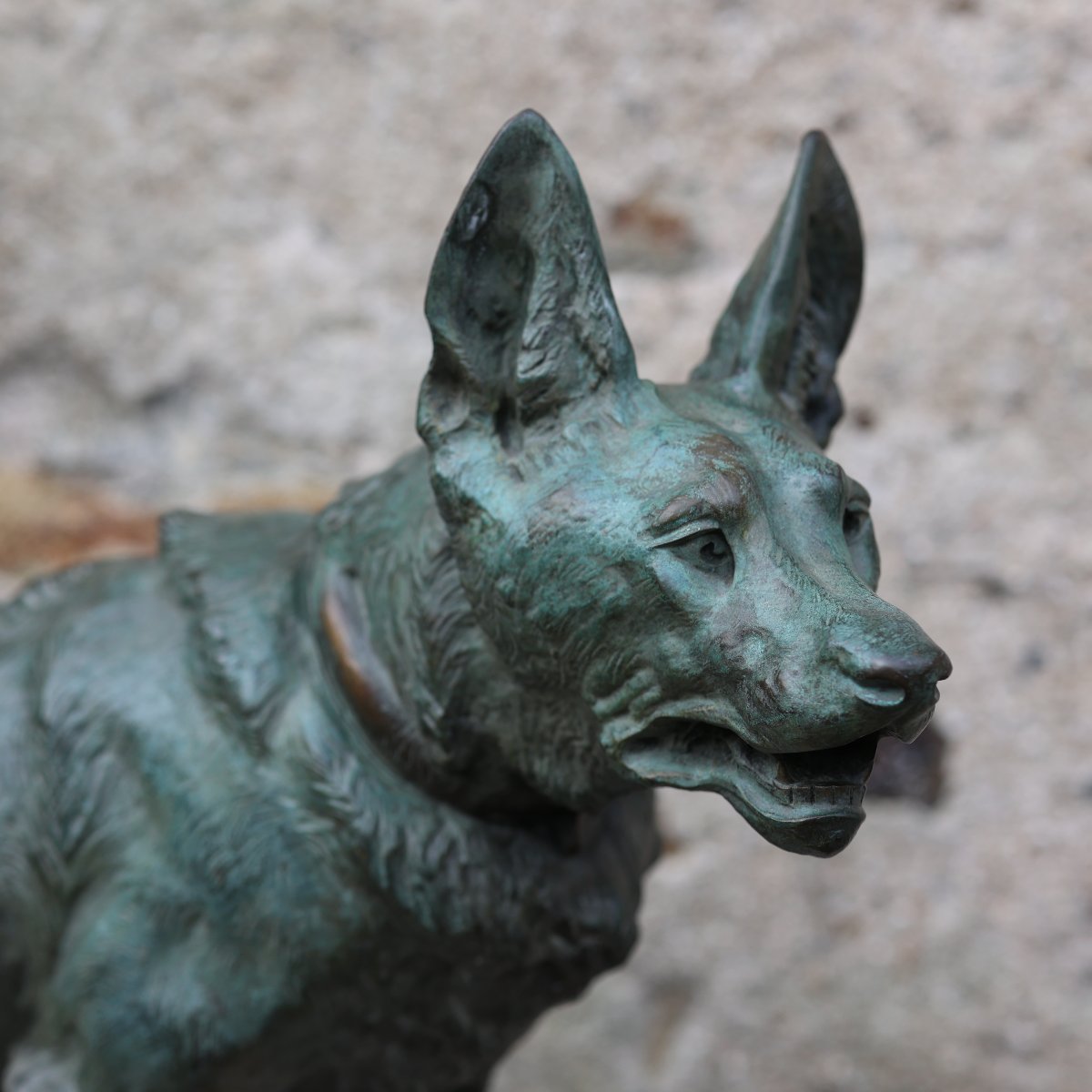 Thomas Cartier (1879-1943) – Grand bronze animalier représentant un chien de berger-photo-3