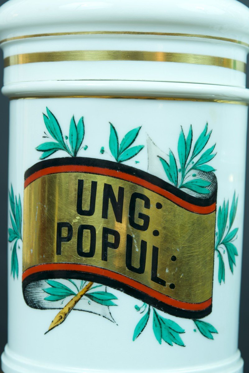 Ancienne Paire De Pots à Pharmacie 19ème Porcelaine De Paris Lefebure apothicaire décor -photo-1