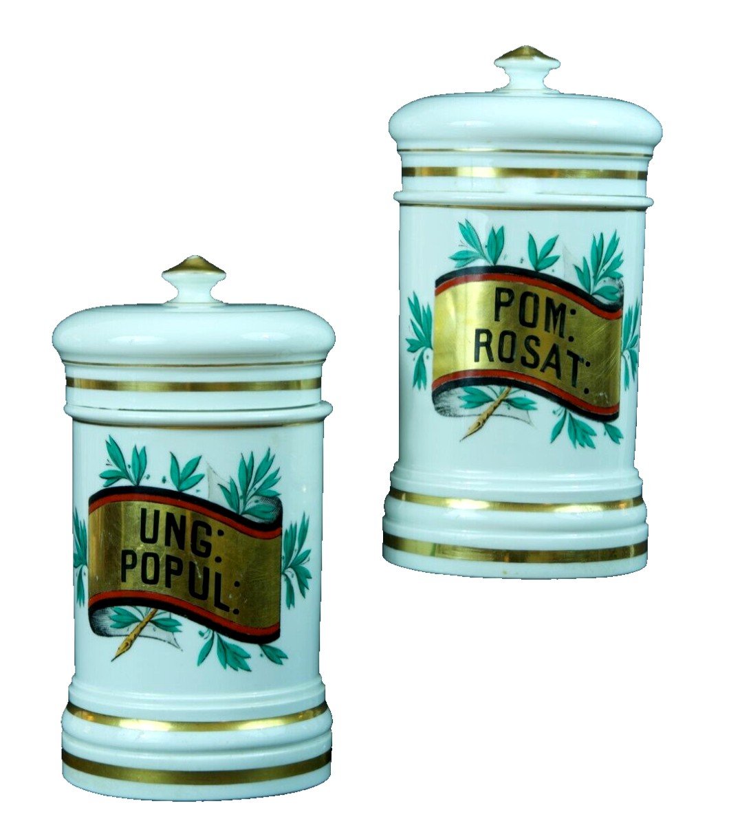 Ancienne Paire De Pots à Pharmacie 19ème Porcelaine De Paris Lefebure apothicaire décor 