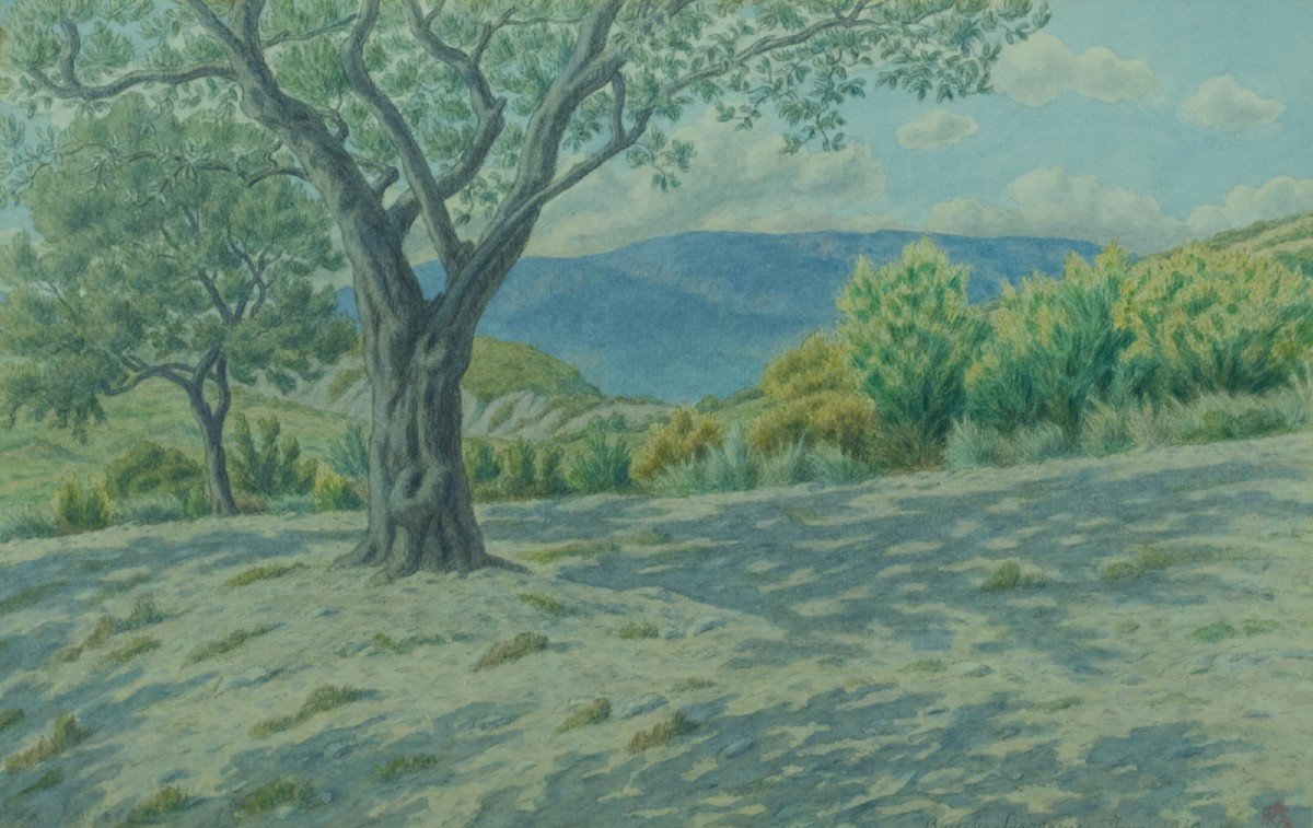 Ancien Dessin Henri Rivière Paysage La Drome Buis-les-baronnies Genêts Oliviers Provence-photo-3