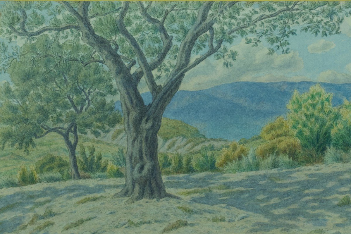 Ancien Dessin Henri Rivière Paysage La Drome Buis-les-baronnies Genêts Oliviers Provence-photo-4