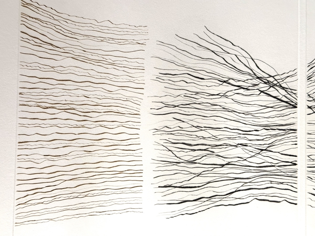 EDDA RENOUF GALERIE SOLLERTIS USA ART gravure Contemporaine Champs Magnétiques x 4 -photo-4