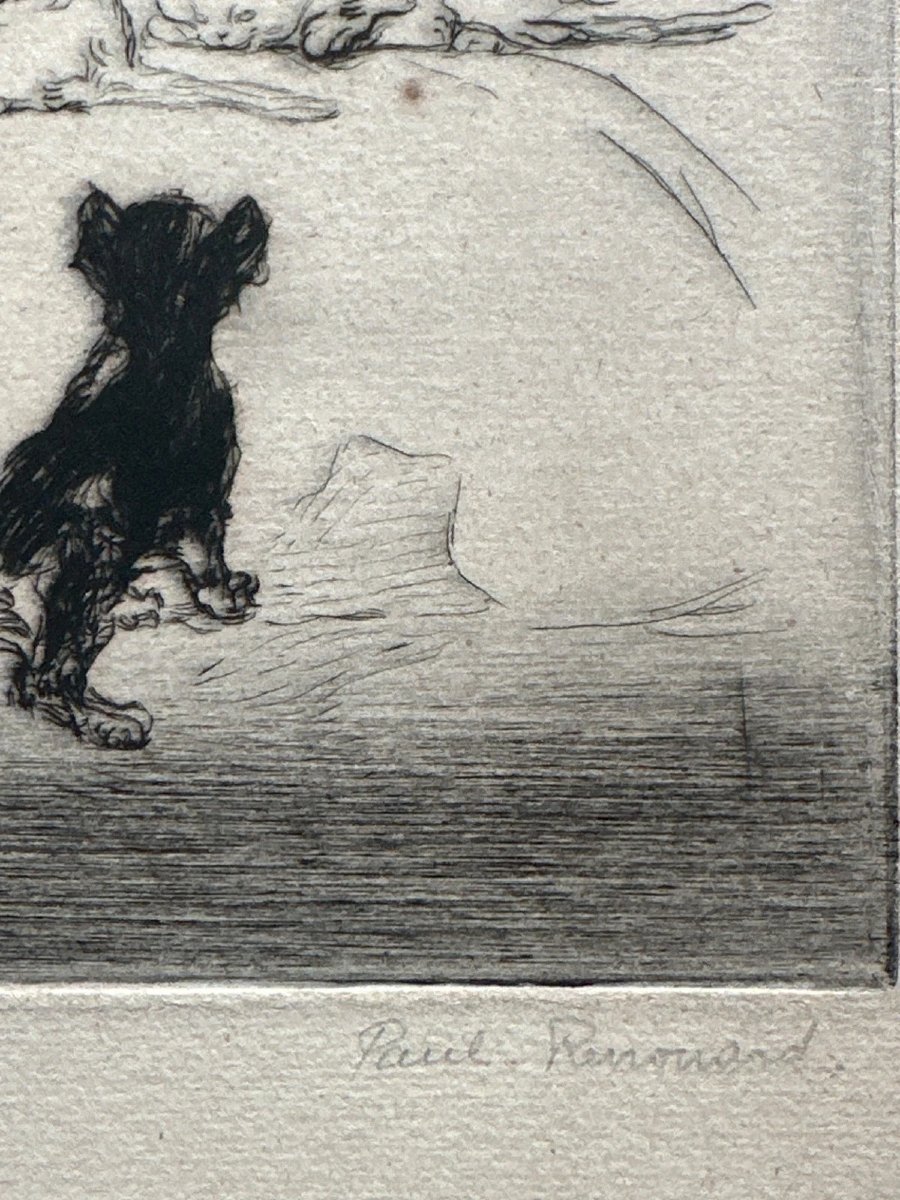 Paul Renouard  Belle Gravure portrait de Chaton Chat jouant Art Nouveau-photo-1