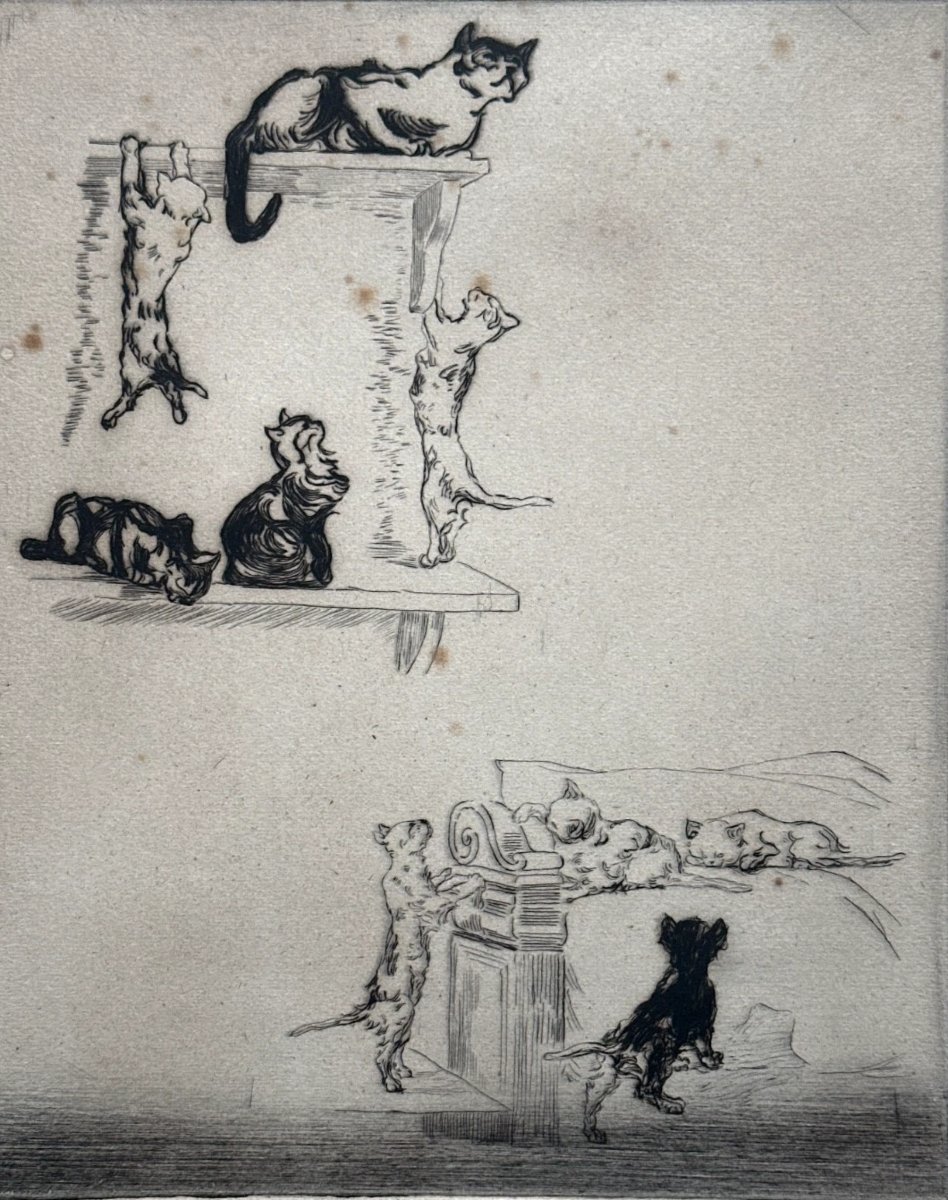 Paul Renouard  Belle Gravure portrait de Chaton Chat jouant Art Nouveau-photo-3