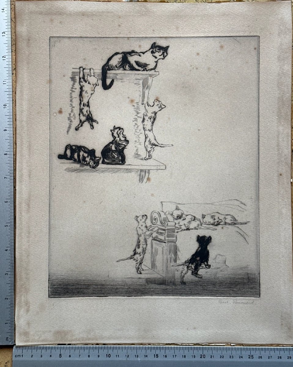 Paul Renouard  Belle Gravure portrait de Chaton Chat jouant Art Nouveau-photo-4