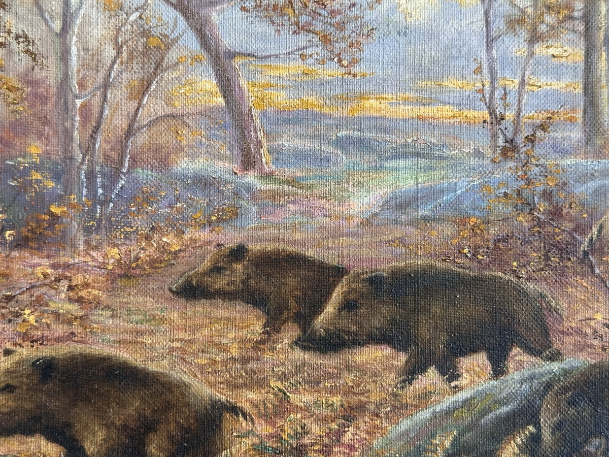 Schaeffer  Tableau ancien harde de sangliers Paysage forêt  1938  style de  Rötig-photo-3