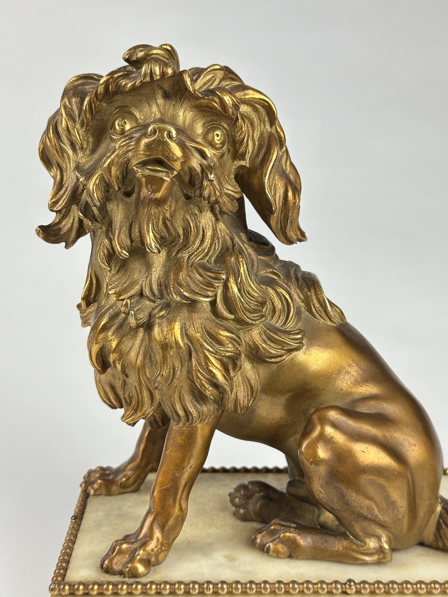 Bronze doré portrait de petit chien lion Löwchen Caniche Caffieri louis XVI marbre-photo-2