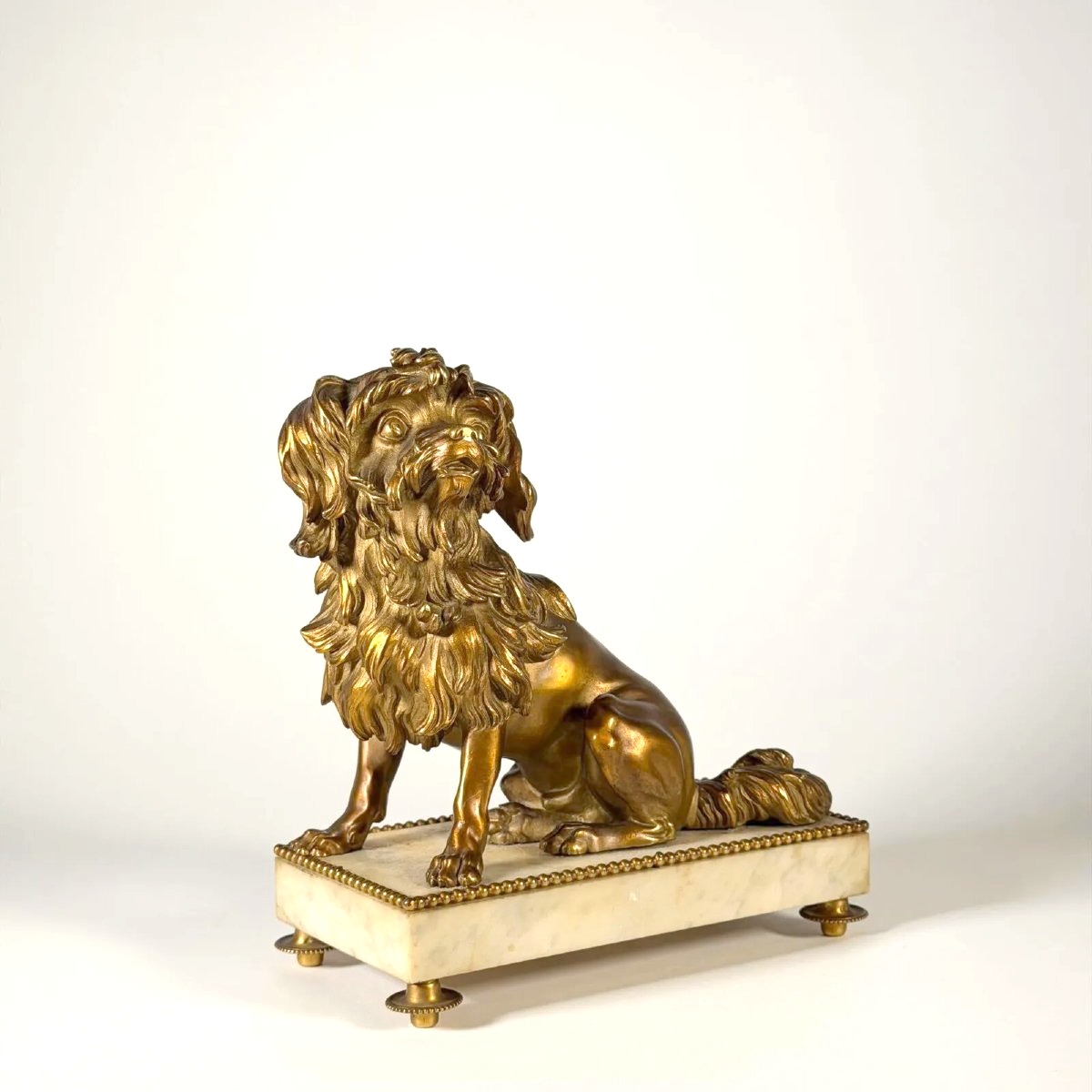 Bronze doré portrait de petit chien lion Löwchen Caniche Caffieri louis XVI marbre-photo-3