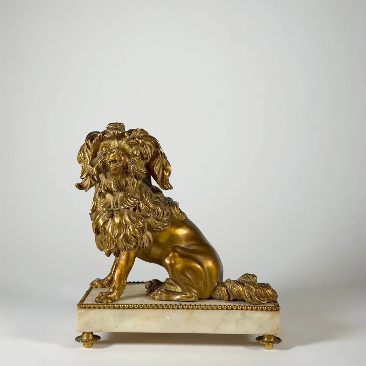 Bronze doré portrait de petit chien lion Löwchen Caniche Caffieri louis XVI marbre-photo-4