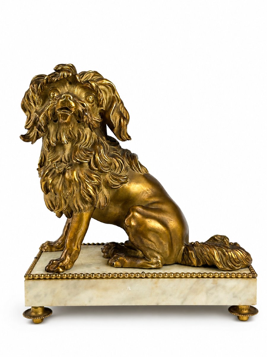 Bronze doré portrait de petit chien lion Löwchen Caniche Caffieri louis XVI marbre-photo-2