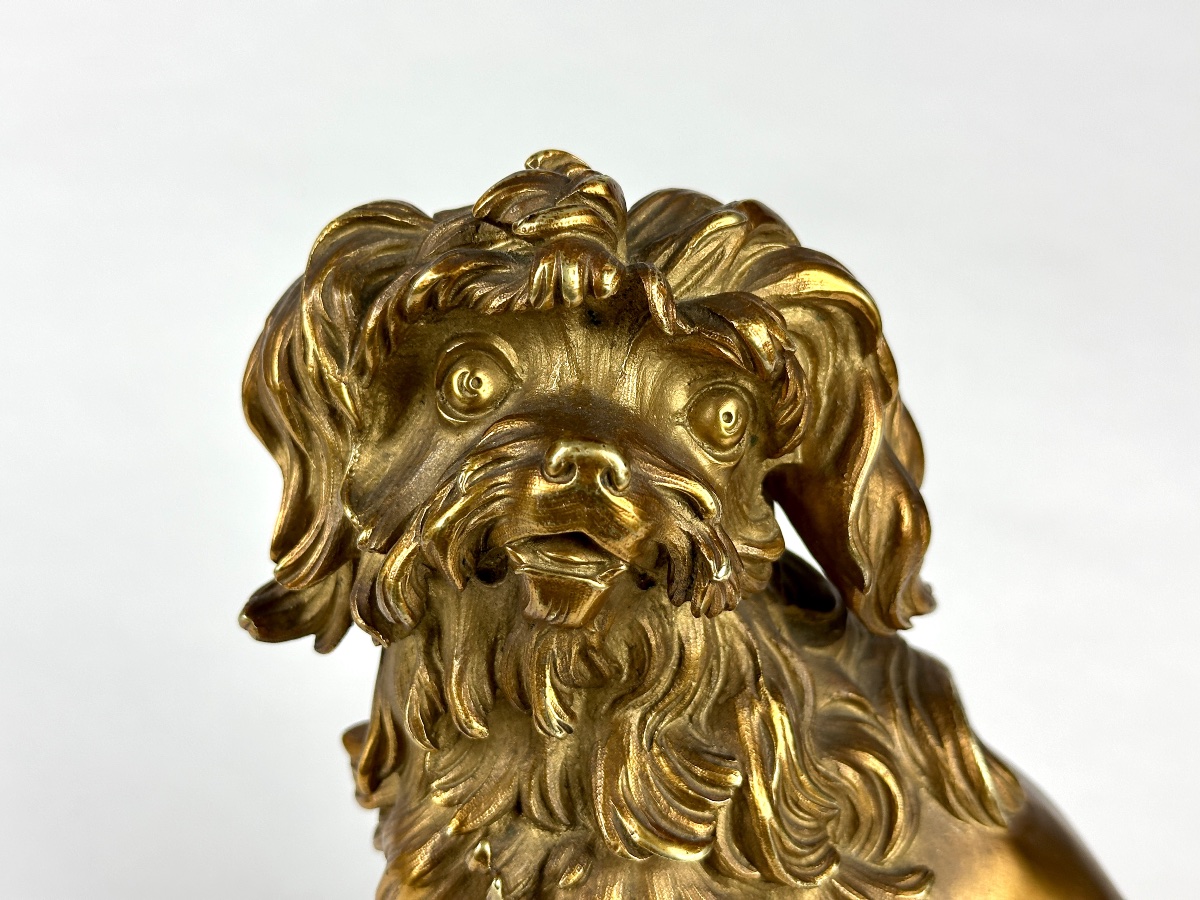 Bronze doré portrait de petit chien lion Löwchen Caniche Caffieri louis XVI marbre-photo-3