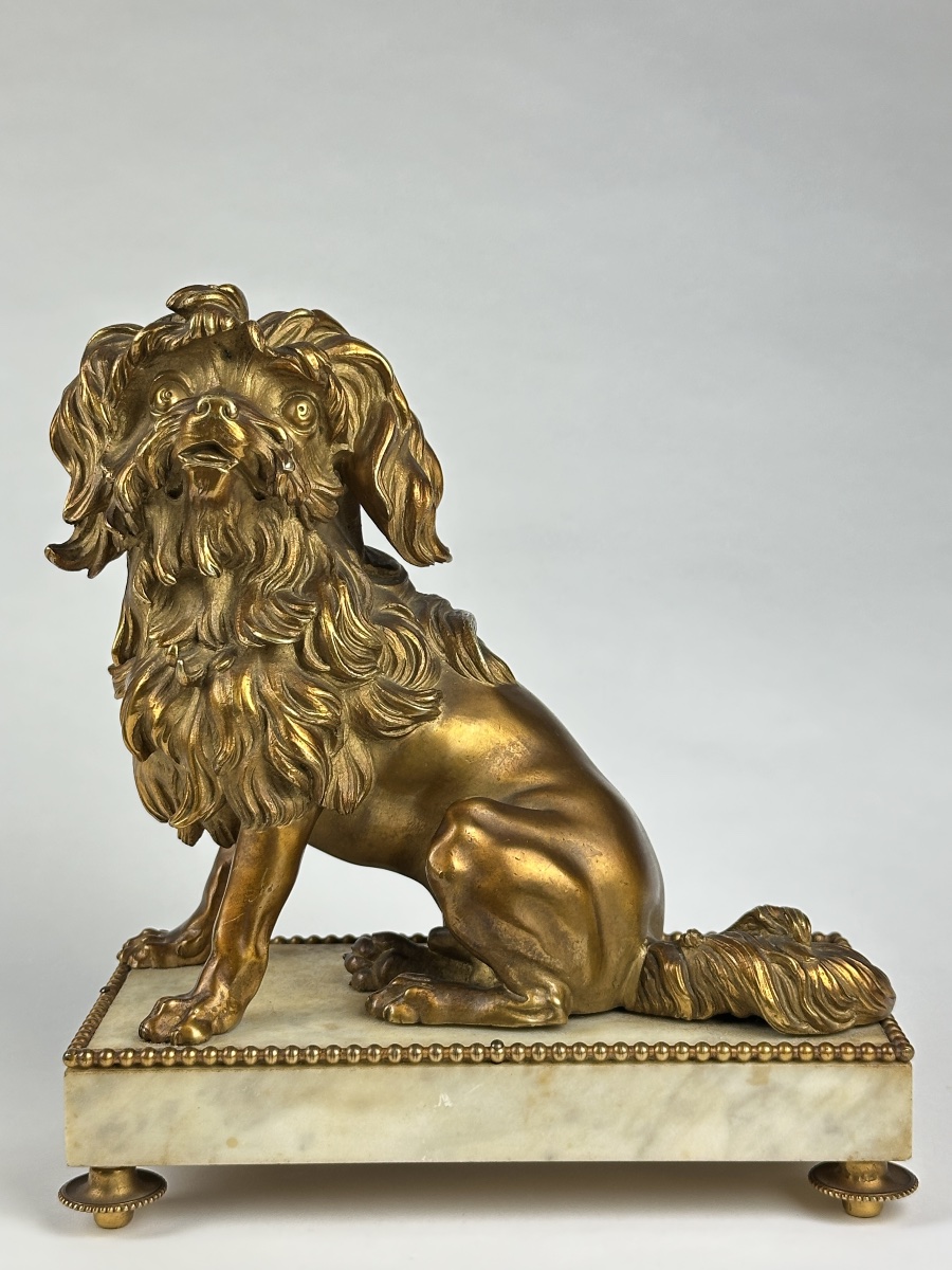 Bronze doré portrait de petit chien lion Löwchen Caniche Caffieri louis XVI marbre-photo-3