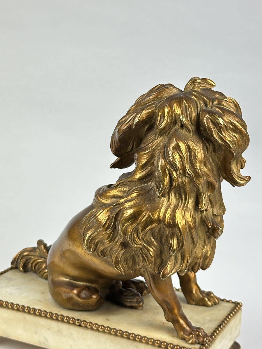 Bronze doré portrait de petit chien lion Löwchen Caniche Caffieri louis XVI marbre-photo-5