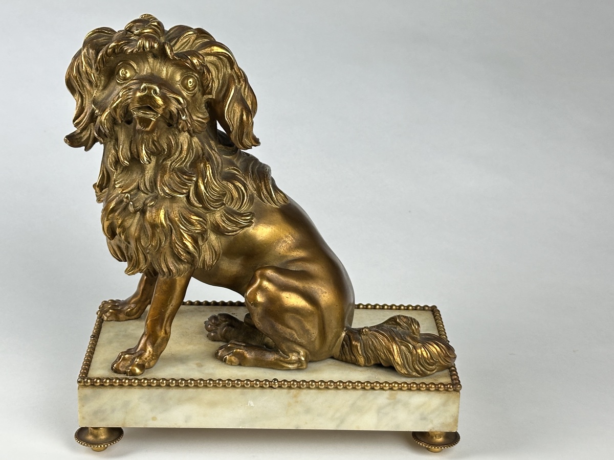 Bronze doré portrait de petit chien lion Löwchen Caniche Caffieri louis XVI marbre-photo-6