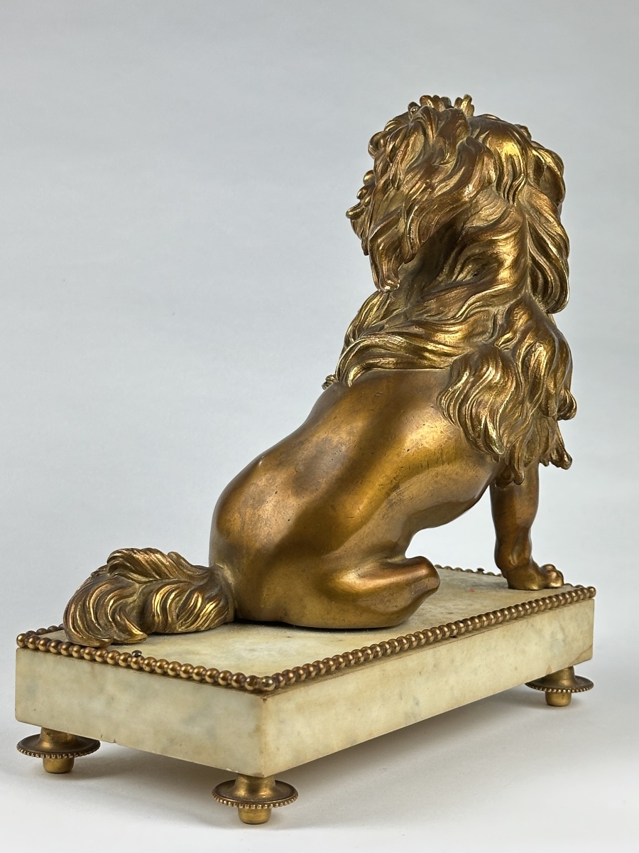 Bronze doré portrait de petit chien lion Löwchen Caniche Caffieri louis XVI marbre-photo-7
