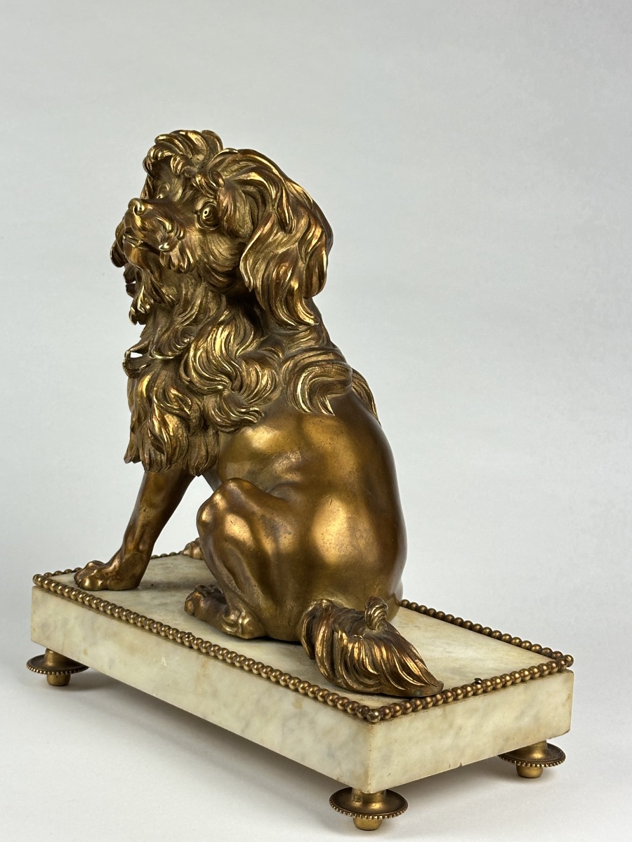 Bronze doré portrait de petit chien lion Löwchen Caniche Caffieri louis XVI marbre-photo-8