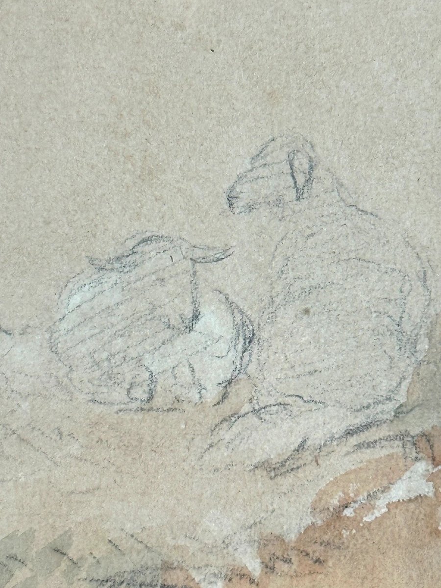 Stanislas Lépine  dessin portrait Jeune pâtre Berger chien bovins paysage 19e-photo-2