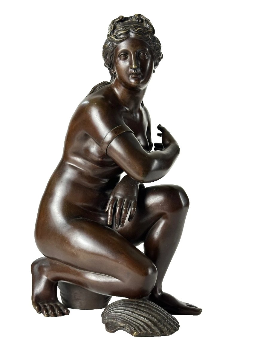 Antique Neoclassical Bronze Portrait Of A Nude Woman, "modest Venus" With Two Shells, By Coysevox, 19th Century-photo-4