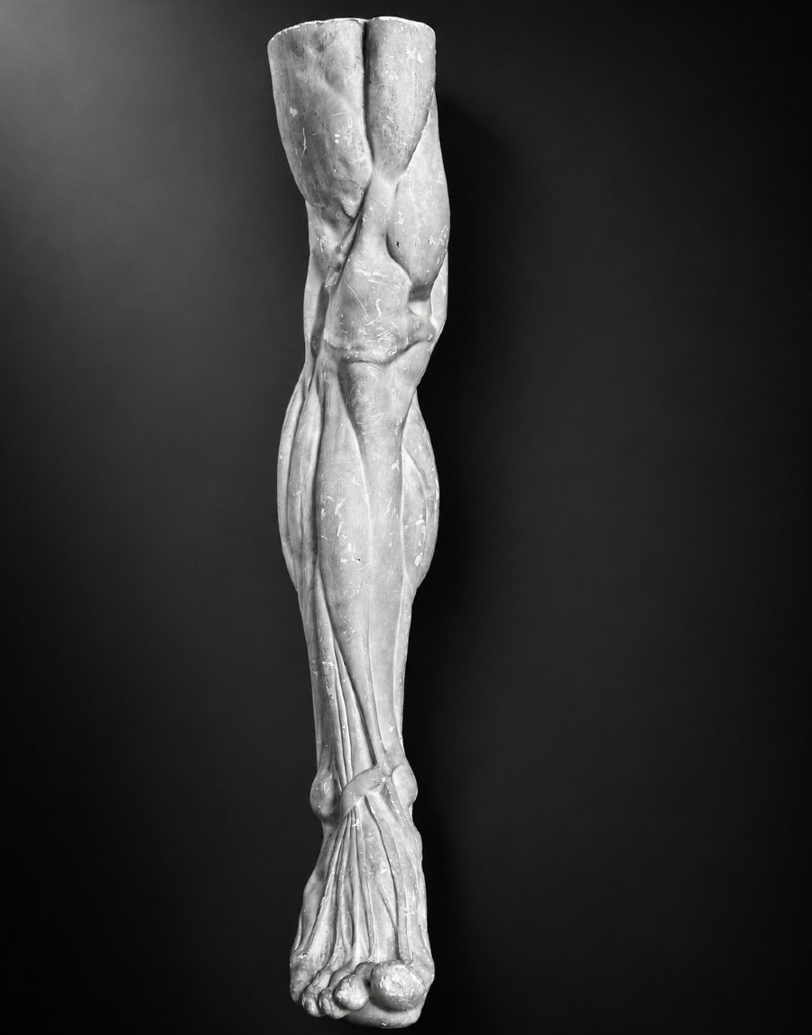 Antique Sculpture, Large Plaster Cast, Exposed Leg, Anatomical Foot, Fine Arts, Rijksakademie, Decorative, 71 Cm