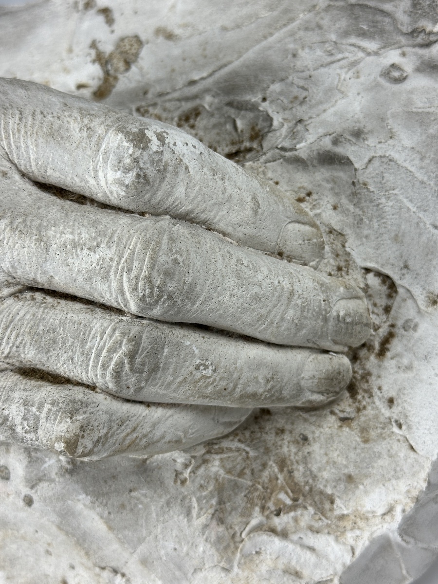 Albert Séraphin  Sculpture  Plaster Cast Of The Right Hand, Anatomical Study, Eugène V, 1926-photo-8