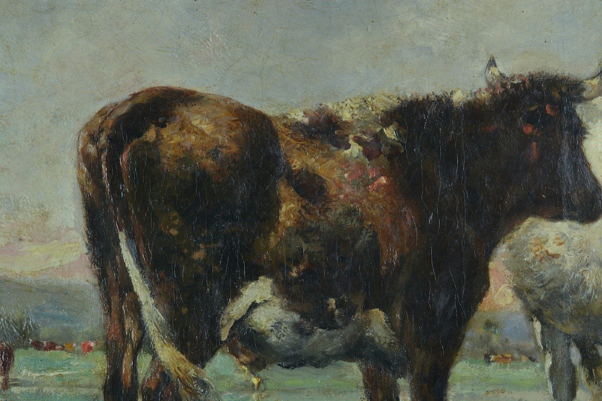 Painting Old Cow Landscape Normandy Julien De La Rochenoire 19th Frame Hst-photo-3