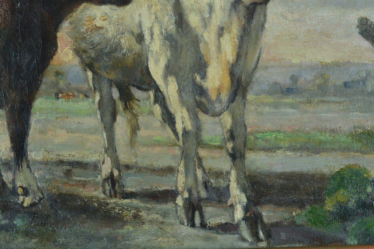 Painting Old Cow Landscape Normandy Julien De La Rochenoire 19th Frame Hst-photo-1
