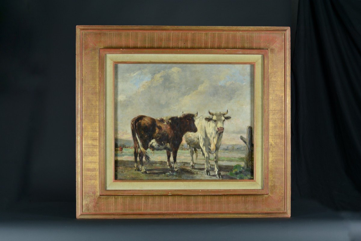 Painting Old Cow Landscape Normandy Julien De La Rochenoire 19th Frame Hst-photo-4