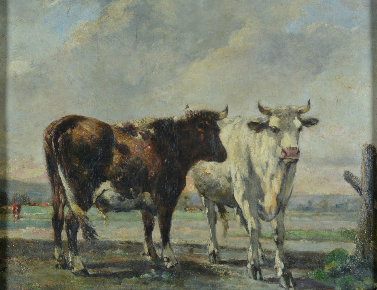 Painting Old Cow Landscape Normandy Julien De La Rochenoire 19th Frame Hst