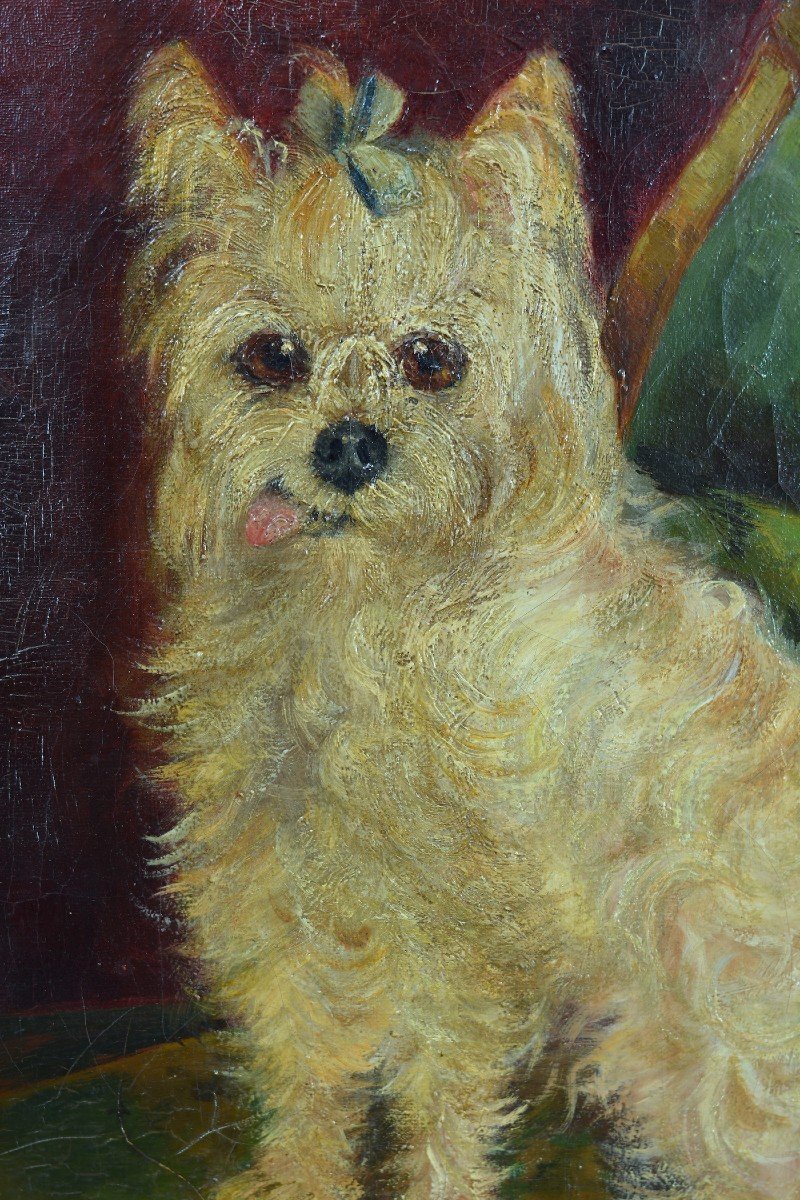 Ancien Tableau Portrait De Chien Yorkshire Signé 19ème Antique Dog Painting 19e-photo-2